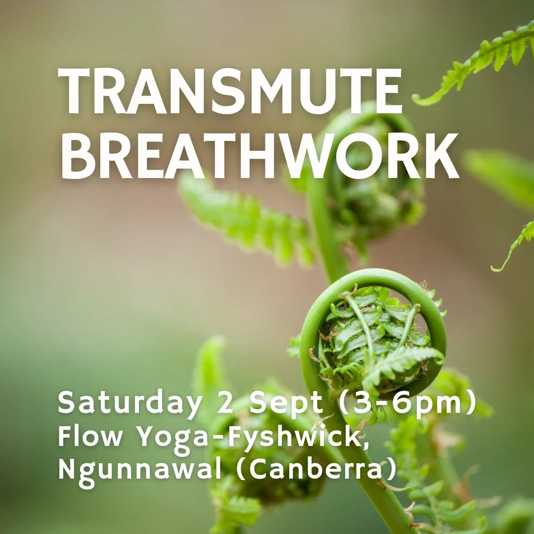 Transmute Breathwork: Spring edition 