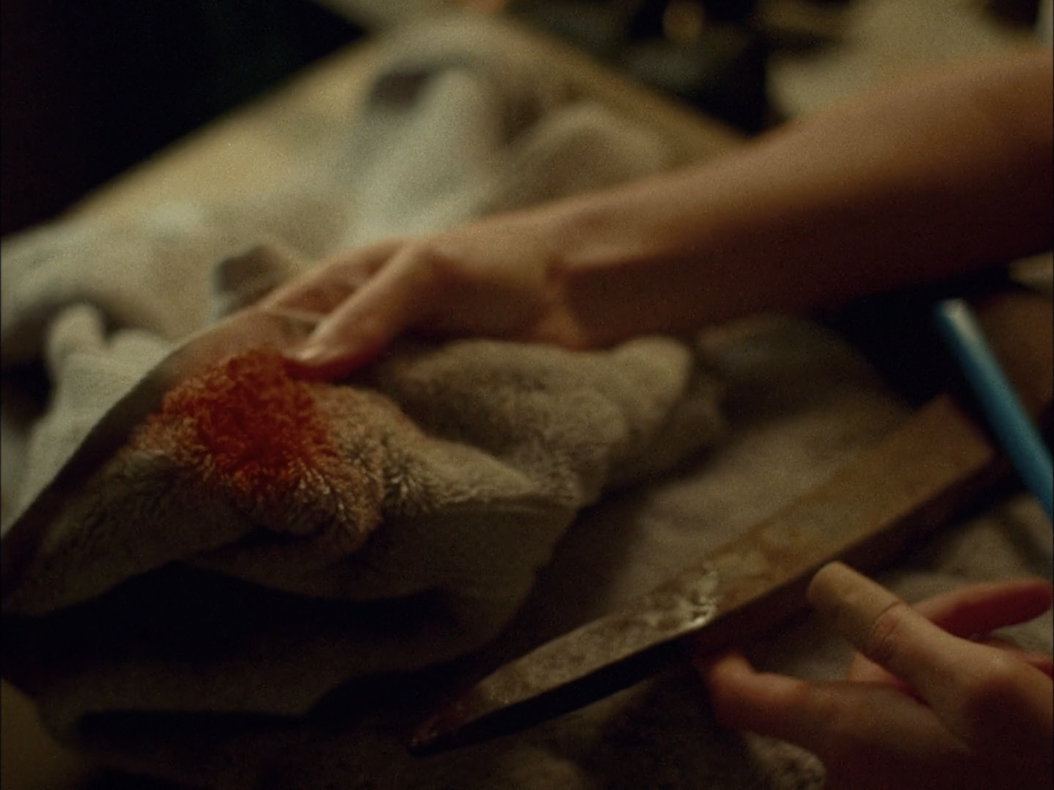 Screen Shot 2022-08-11 at 1.33.54 PM.png