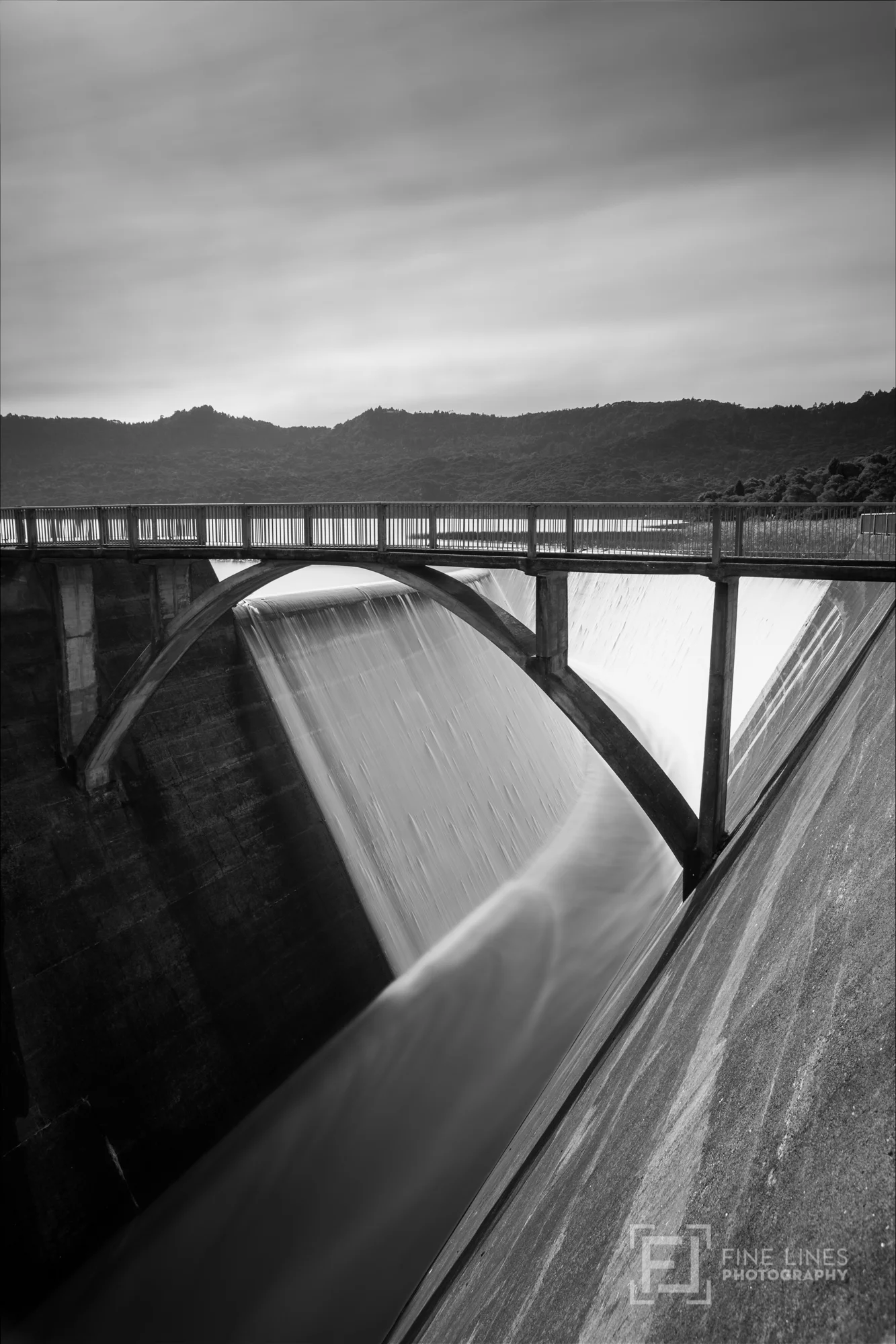 Lower Nihotupu Dam Reserve 