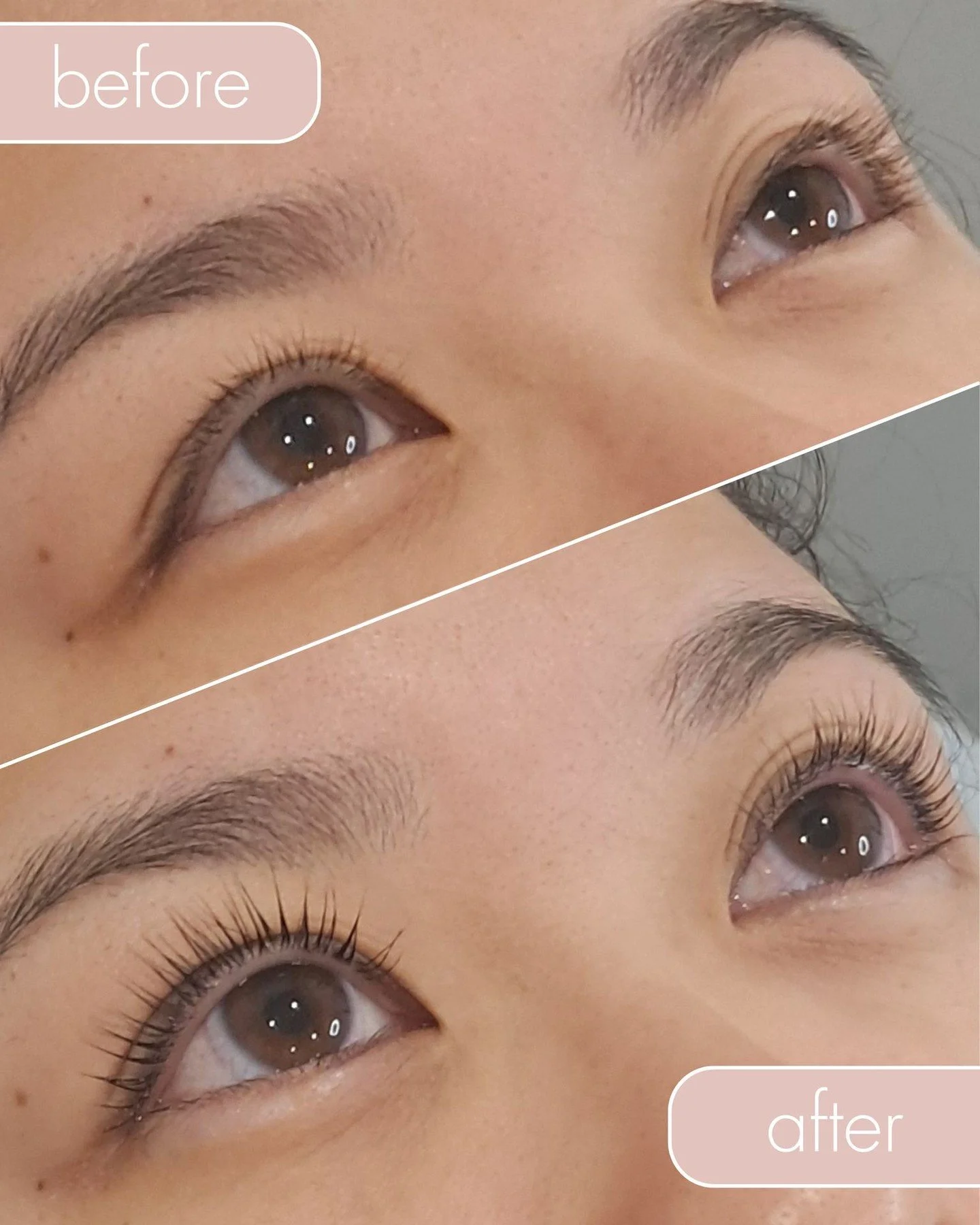 Lash Lift and Tint 🤩

Give your eyes an instant rebrand!

➡️ book online via the link in our bio

#lasheslasheslashes #healthyskinjourney #perthbeautyexperts #naturalresults #southernriversalon #oharaskinclinic #clinicalresultsnurturingexperience #p