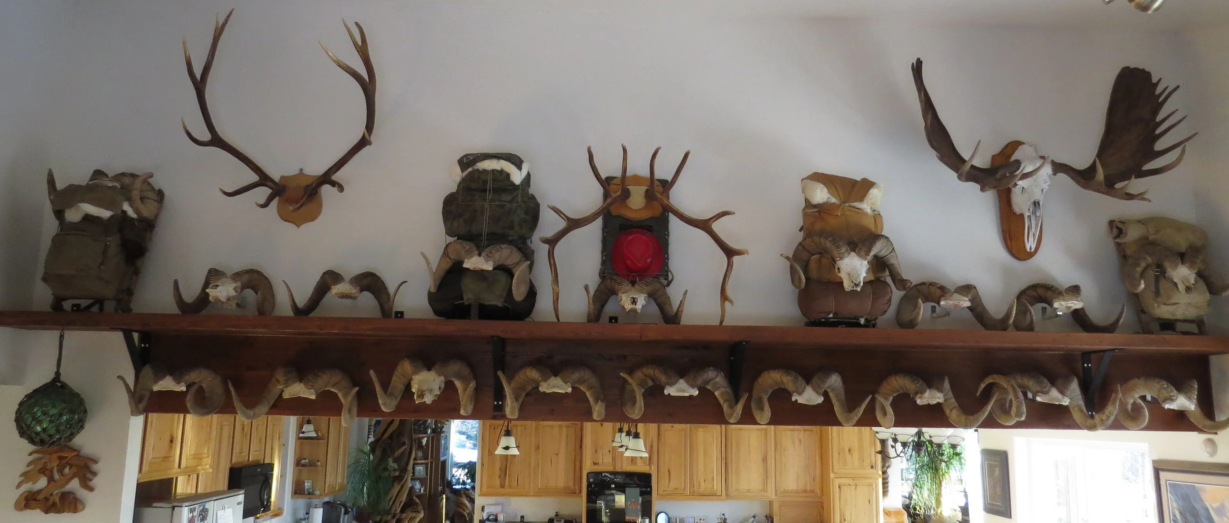 Lew's overflow beam of rams.JPG