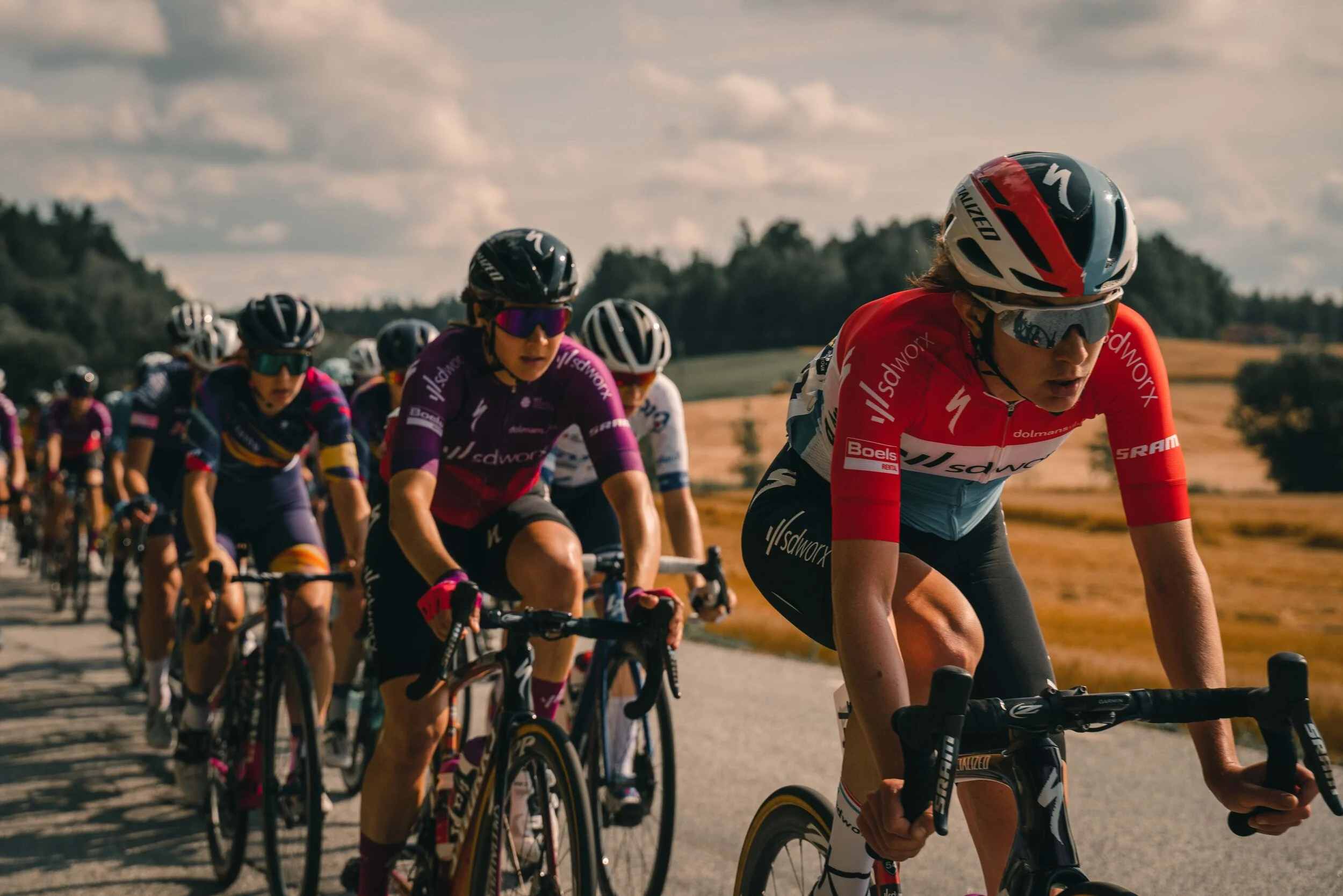 LToN_21_medium størrelse-8.jpg