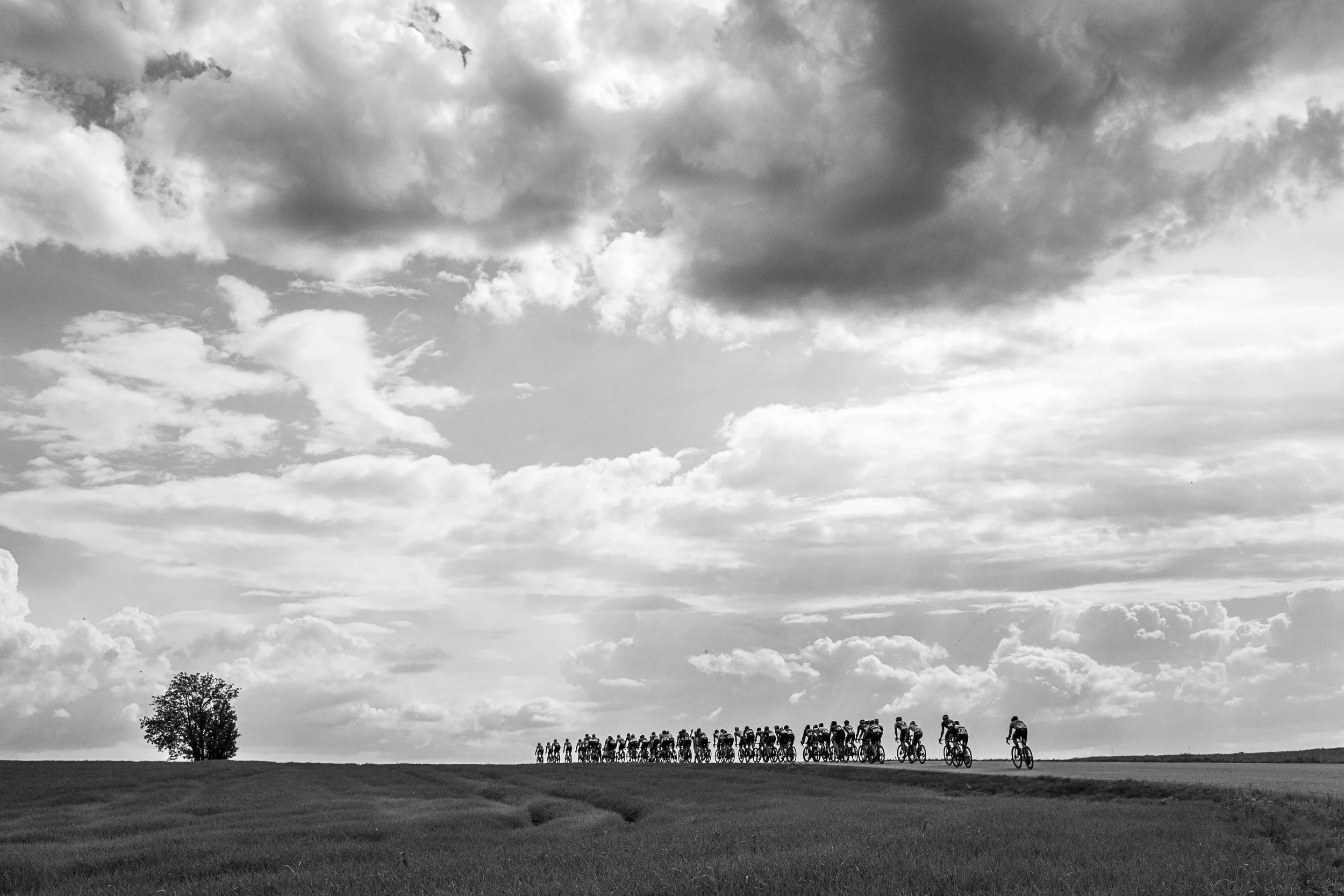 NM22_medium størrelse-13.jpg