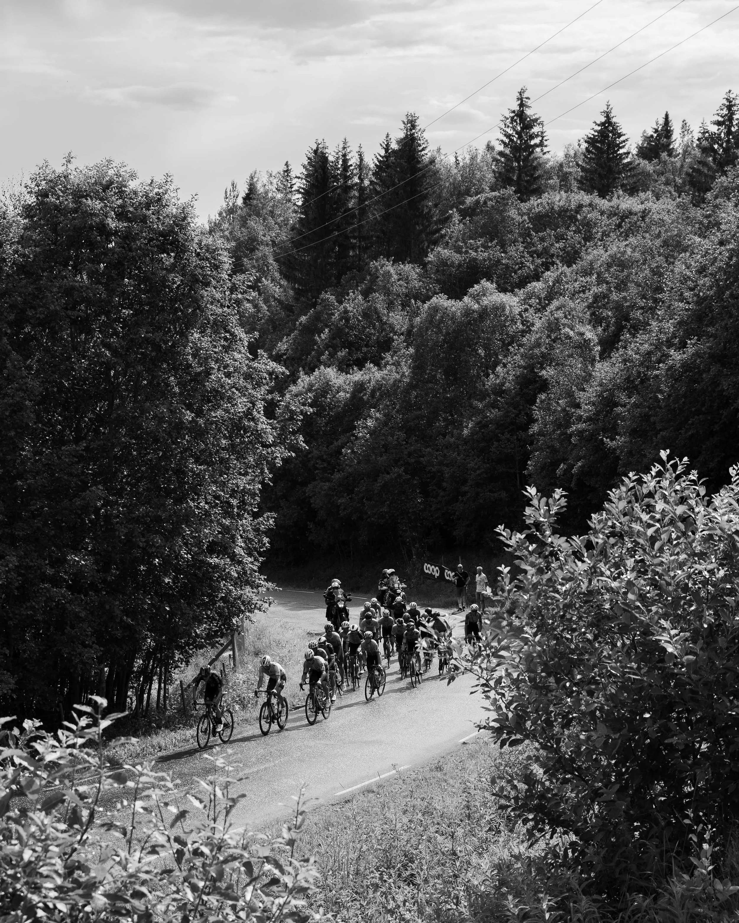 NM22_medium størrelse-16.jpg