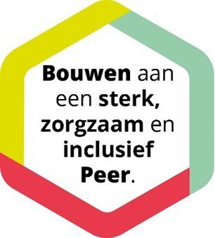 Bouwen aan een sterk, zorgzaam en inclusief Peer