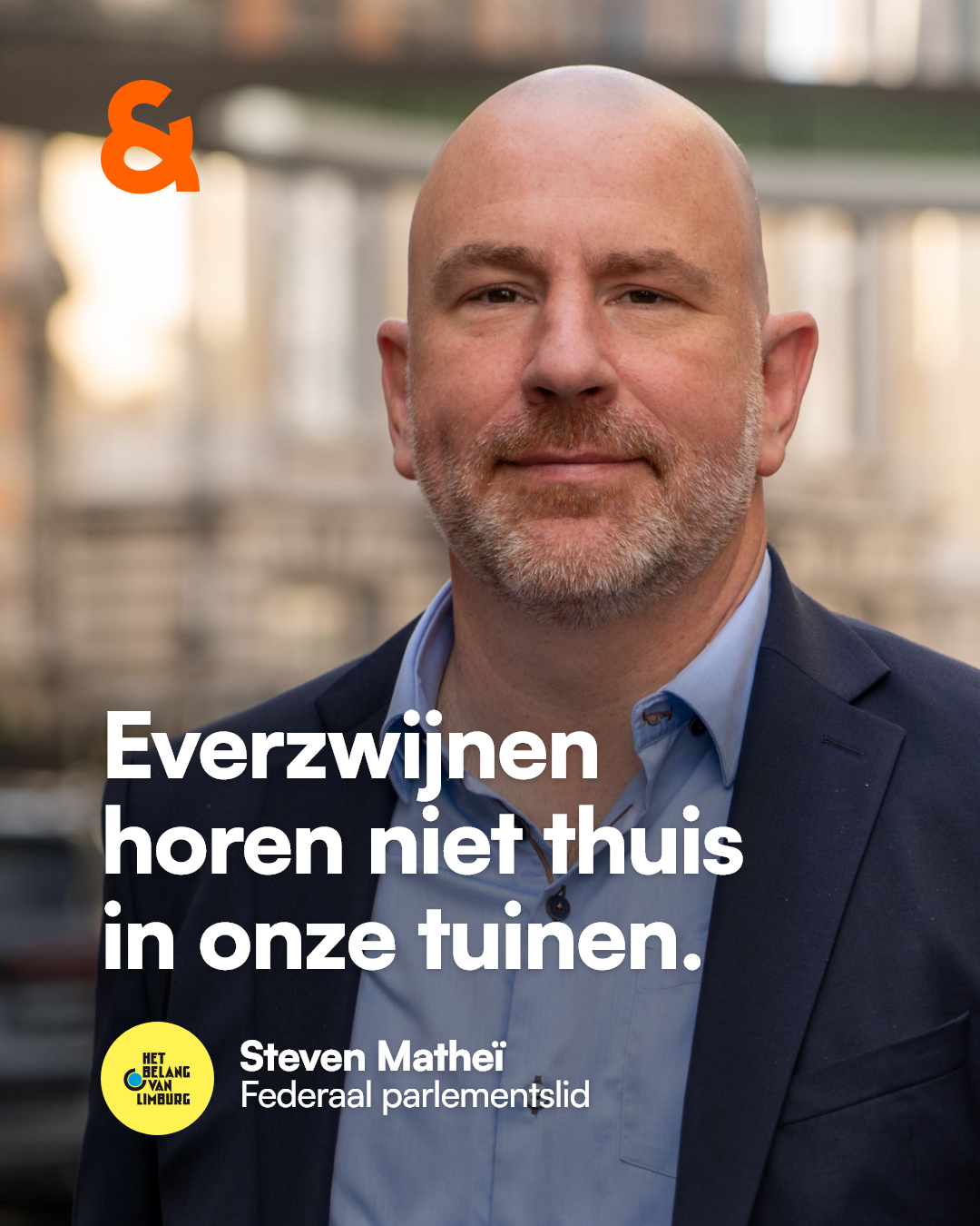 Everzwijnen horen niet thuis in onze tuinen