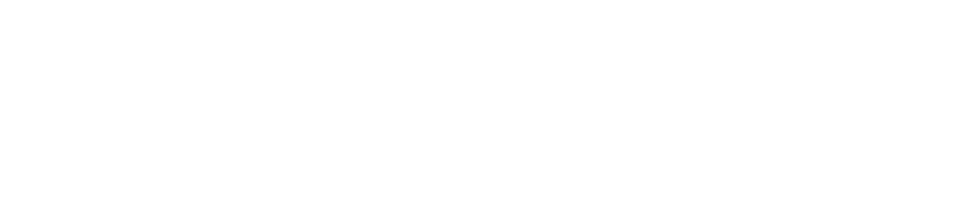 L I C H S E E K E R