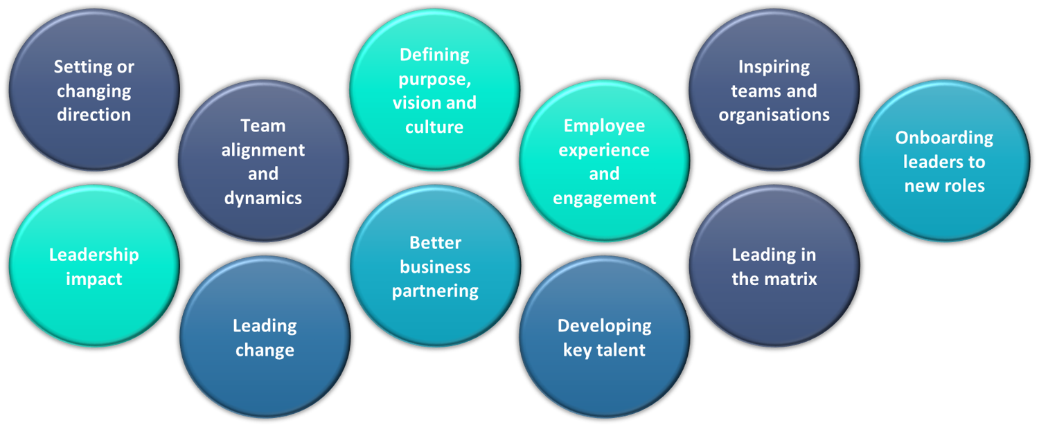 Bussiness issues we help address 2.png