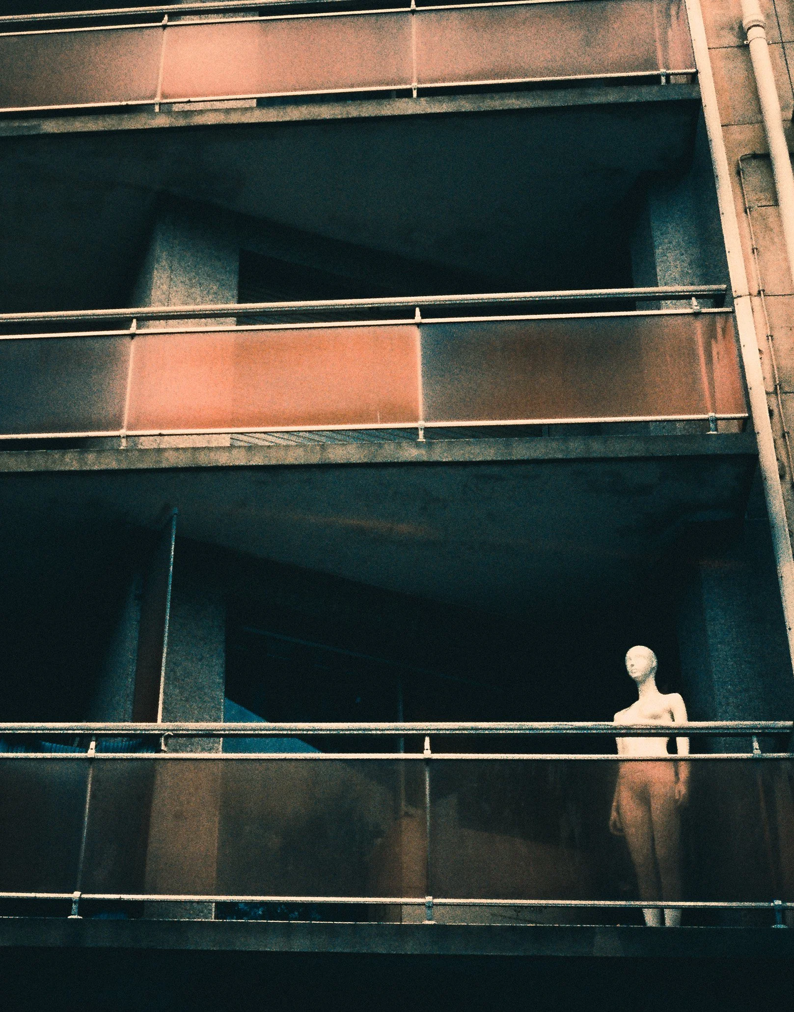 David Nissen-37.jpg