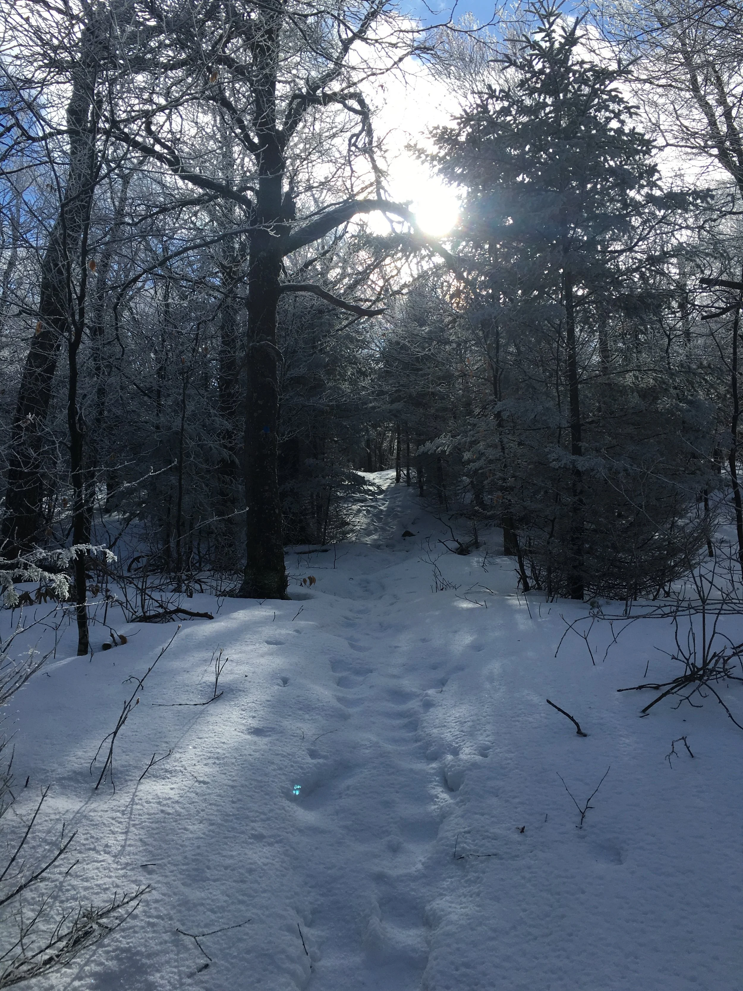 catskills-4.jpeg
