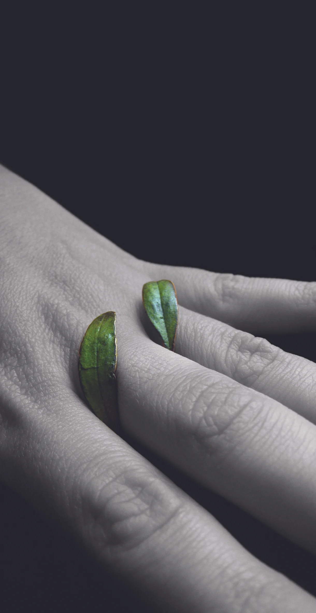 leaf ring.jpg