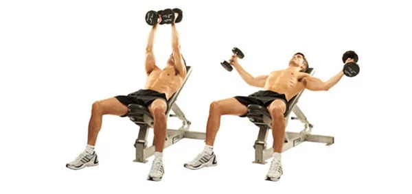 chest-flyes-with-dumbbell.jpg