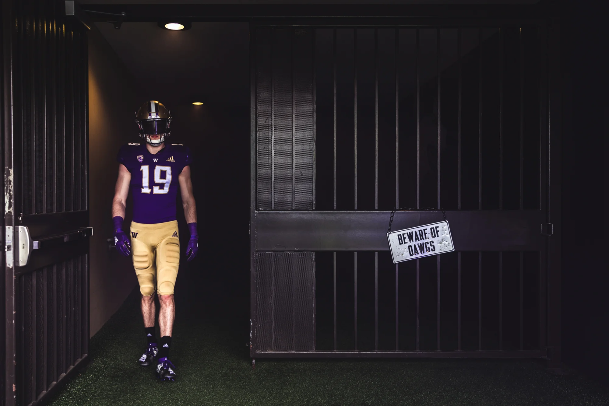 UNIVERSITY OF WASHINGTON Huskies.jpg