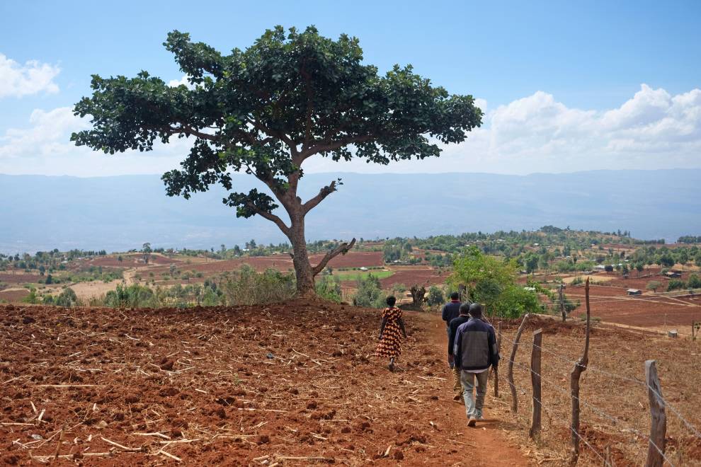 On a walk around a farm in the Hanging Valley, Elgeyo-Marakwet county. © Megan Laws