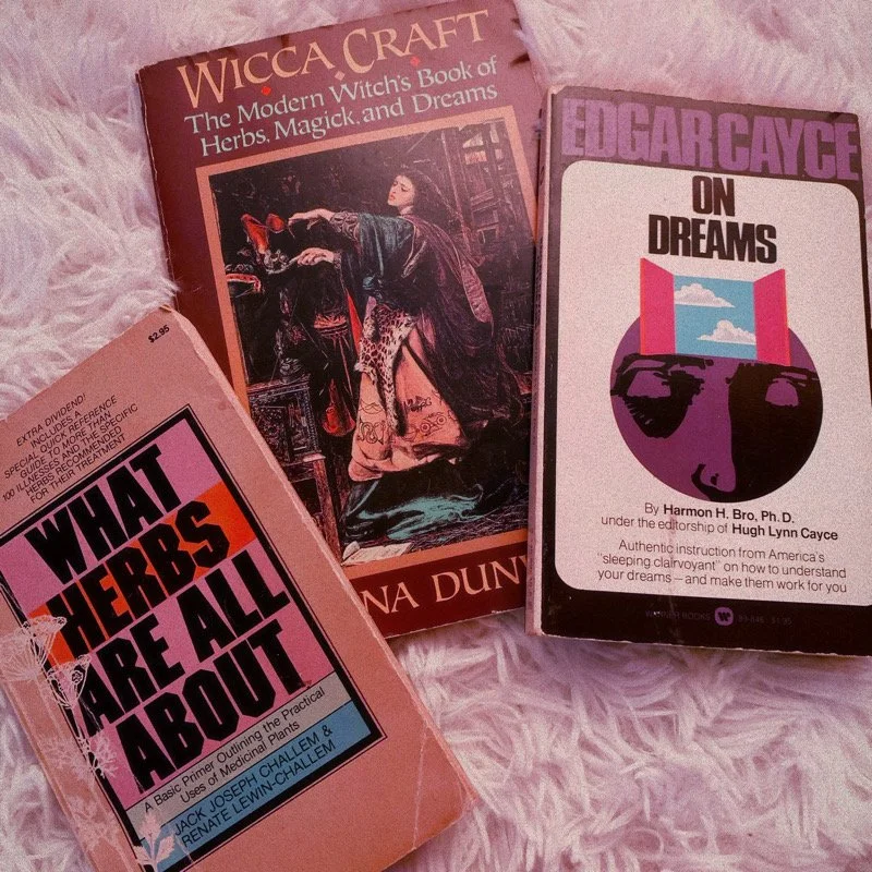 AfterlightImage 312.JPG