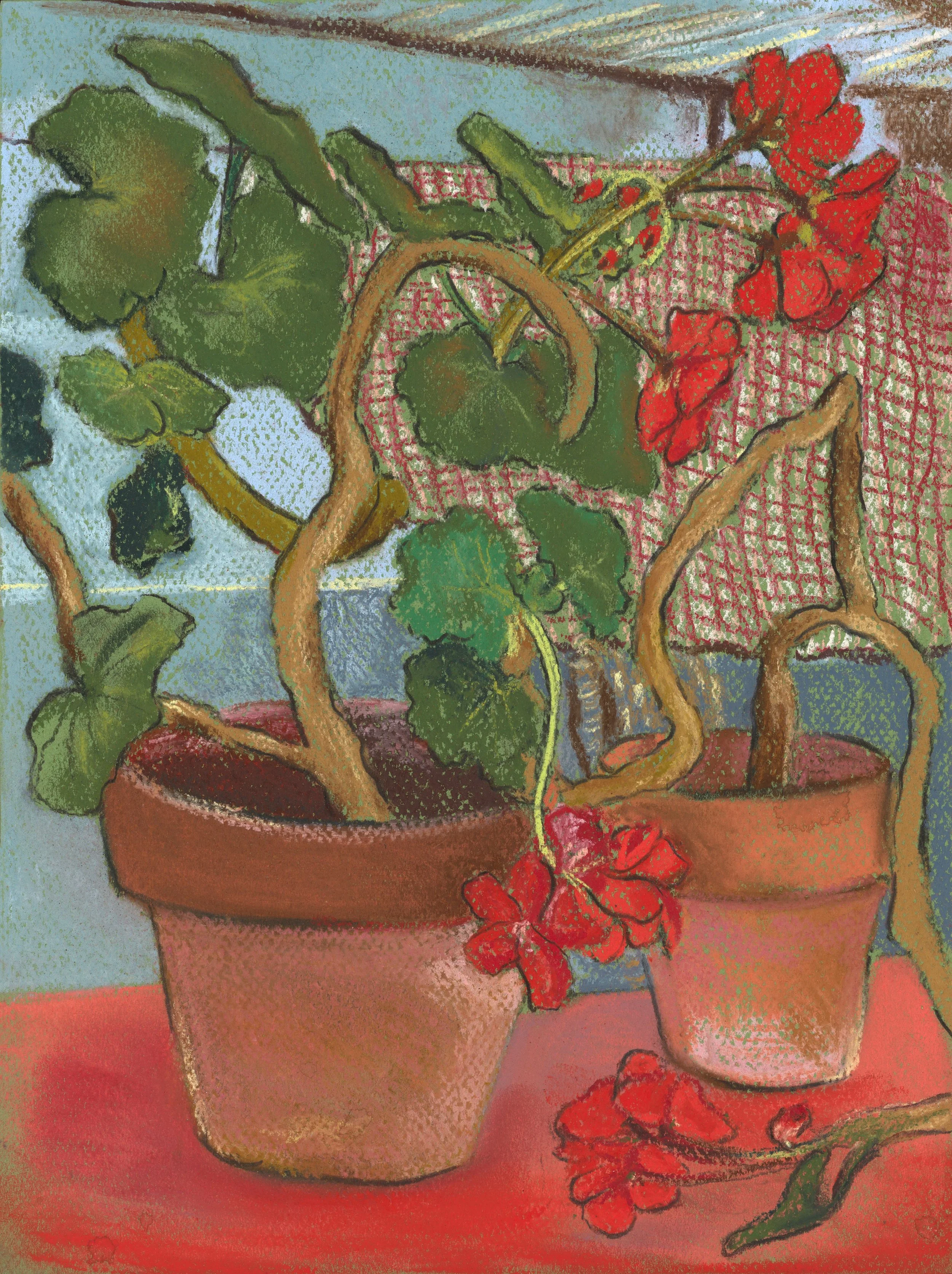 Geranium jpeg resized.jpg