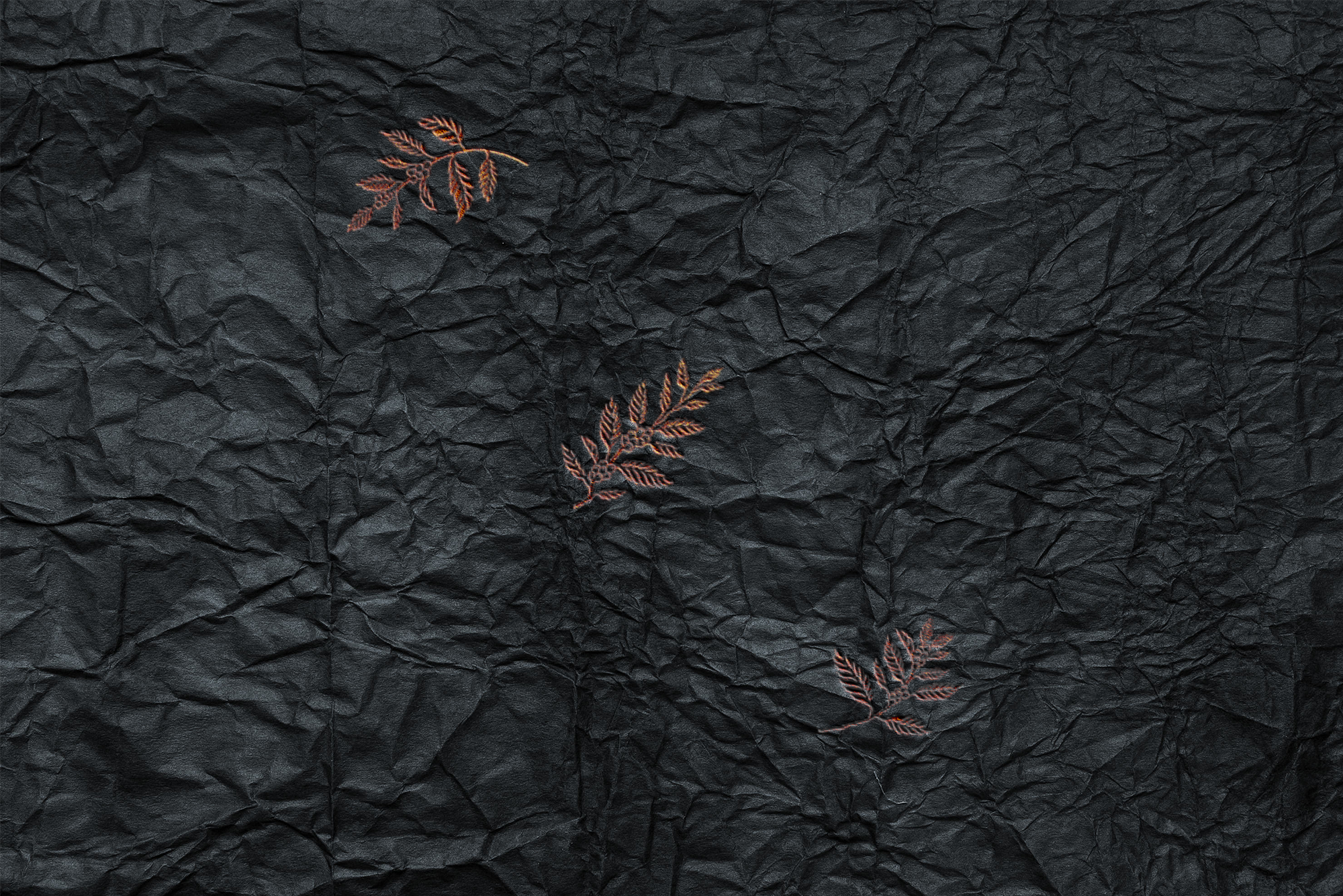 studiopros_Bao_20-1.png