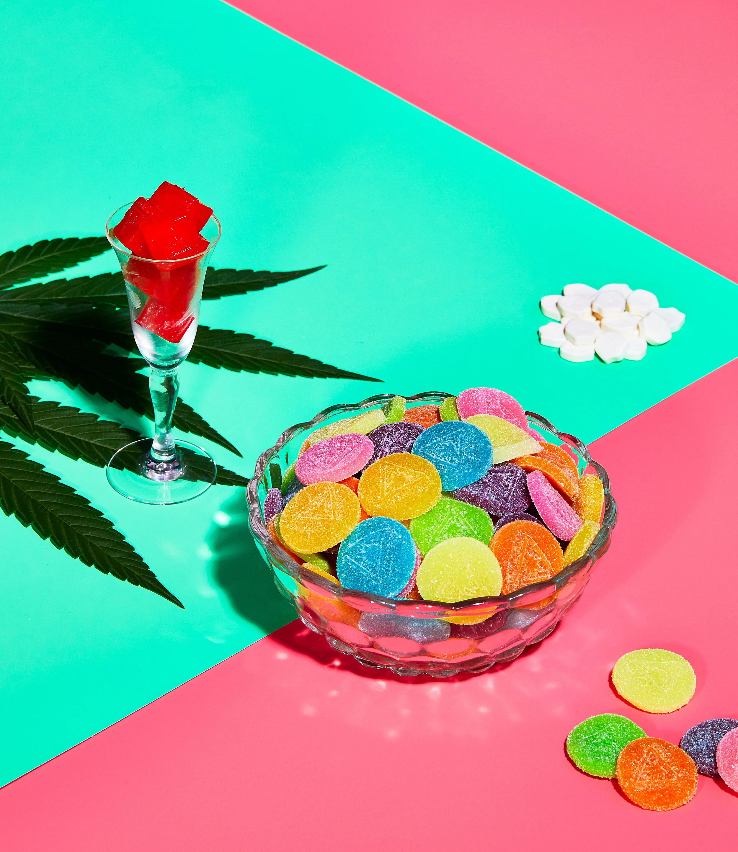 DifferentLeaf_Cover.jpg