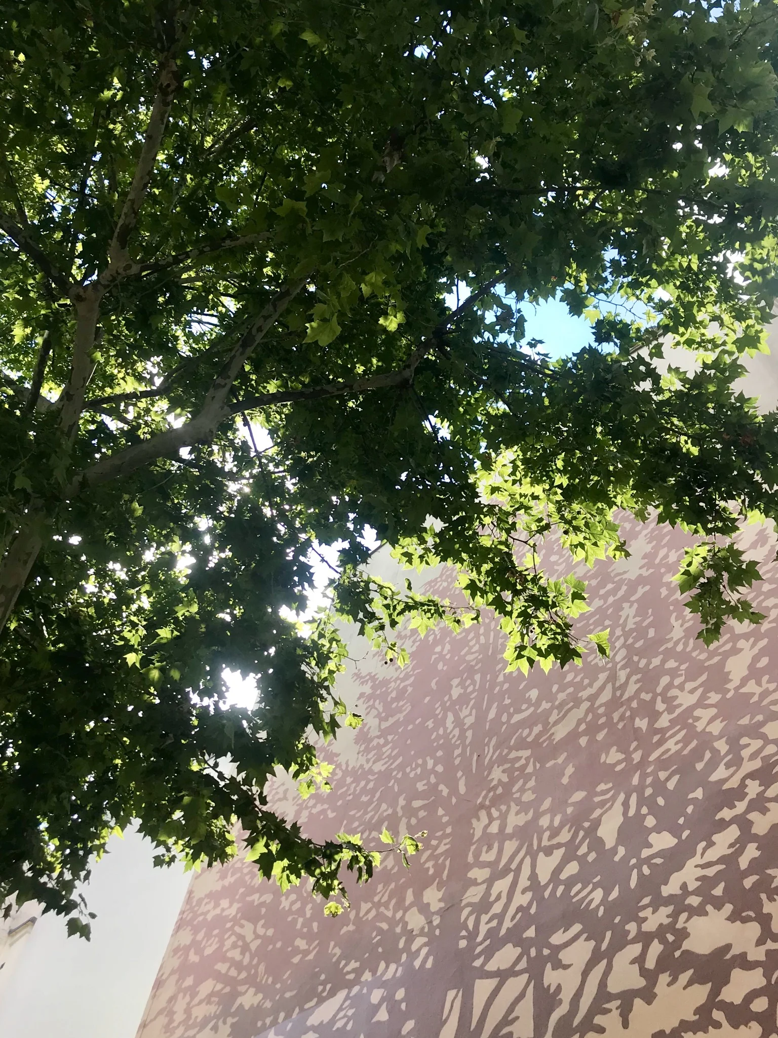 image00005.jpeg