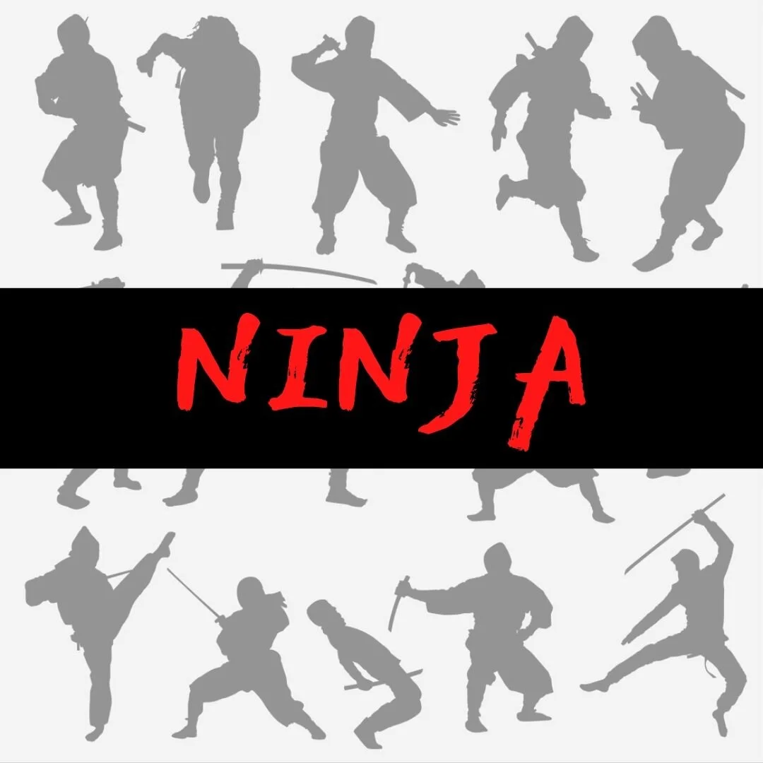 Ninja