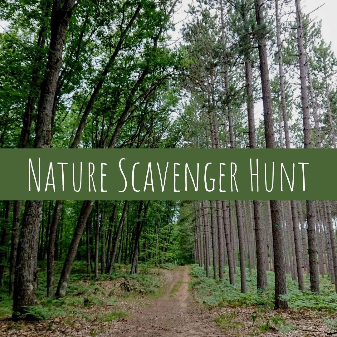 Nature Scavenger Hunt