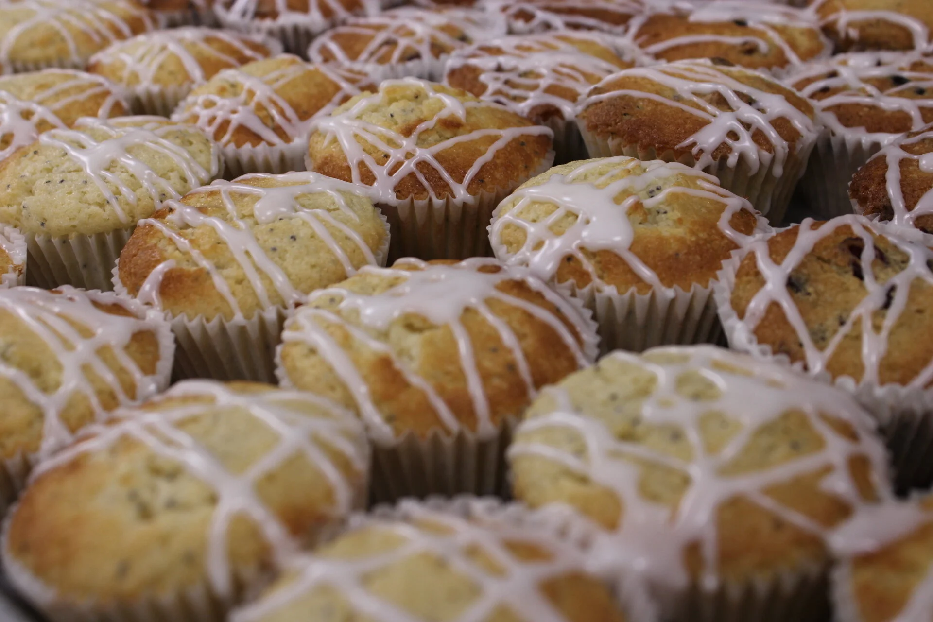 Lemon Poppy Seed & Blueberry Muffins