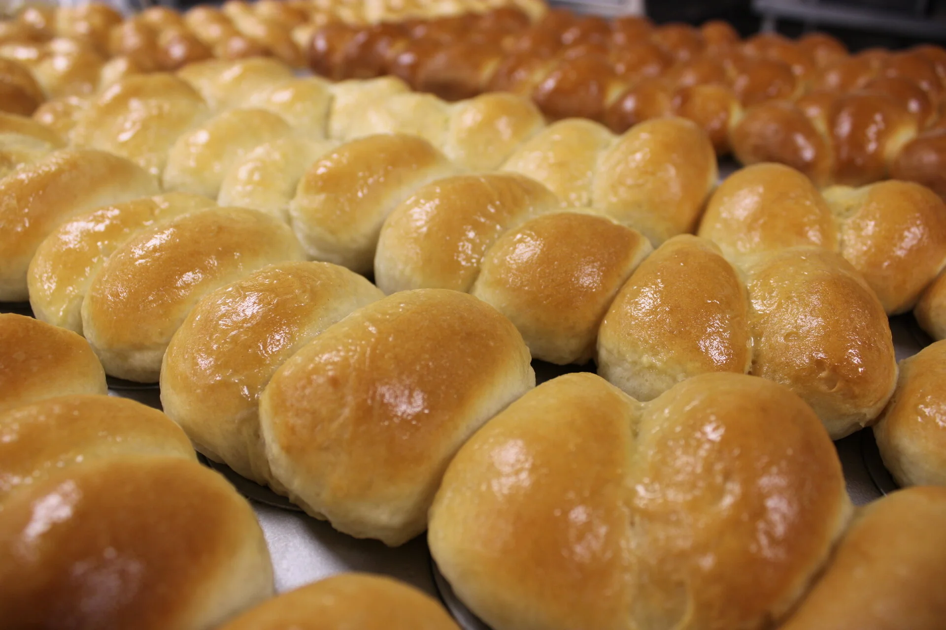 Freshly made rolls
