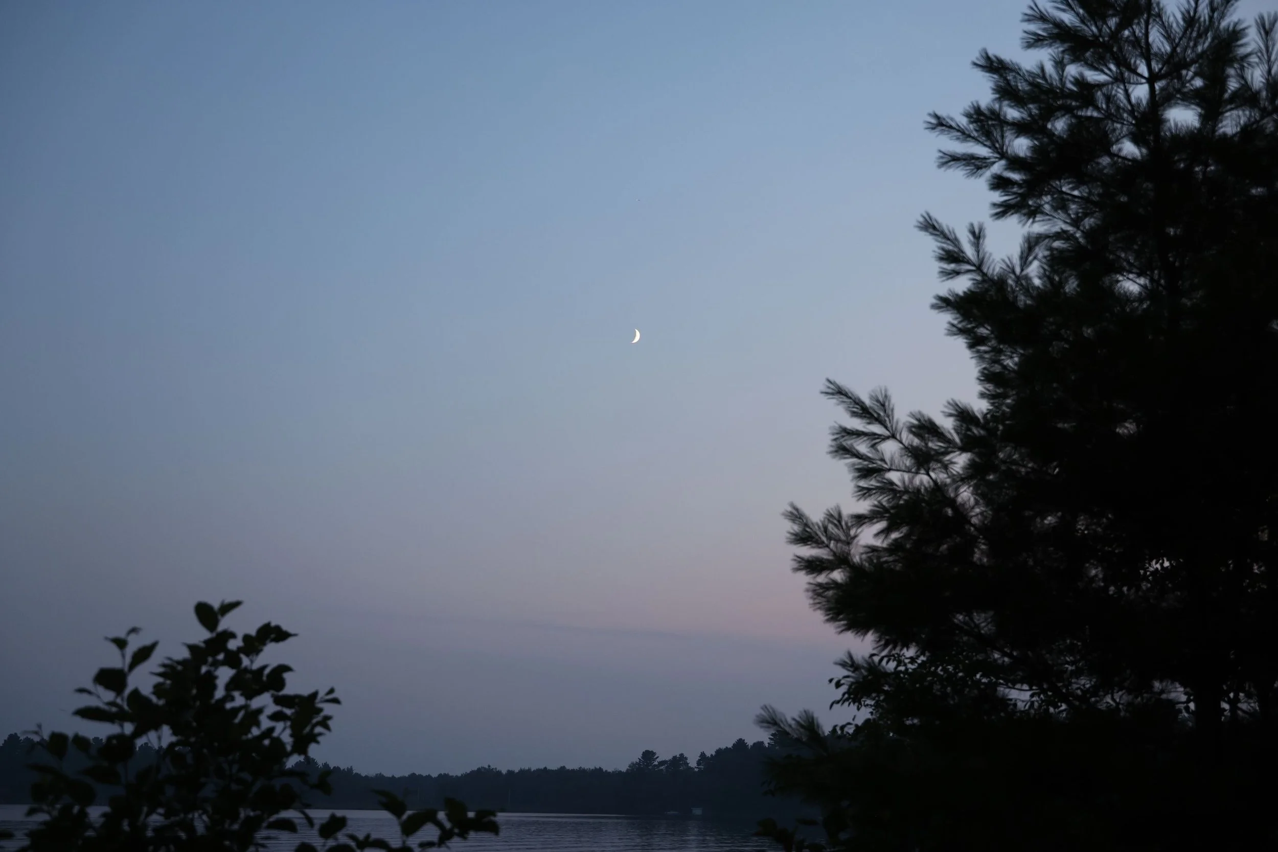 8c488cbc-6d7d-5e6a-89e2-54b5cc5a991e (1).jpg