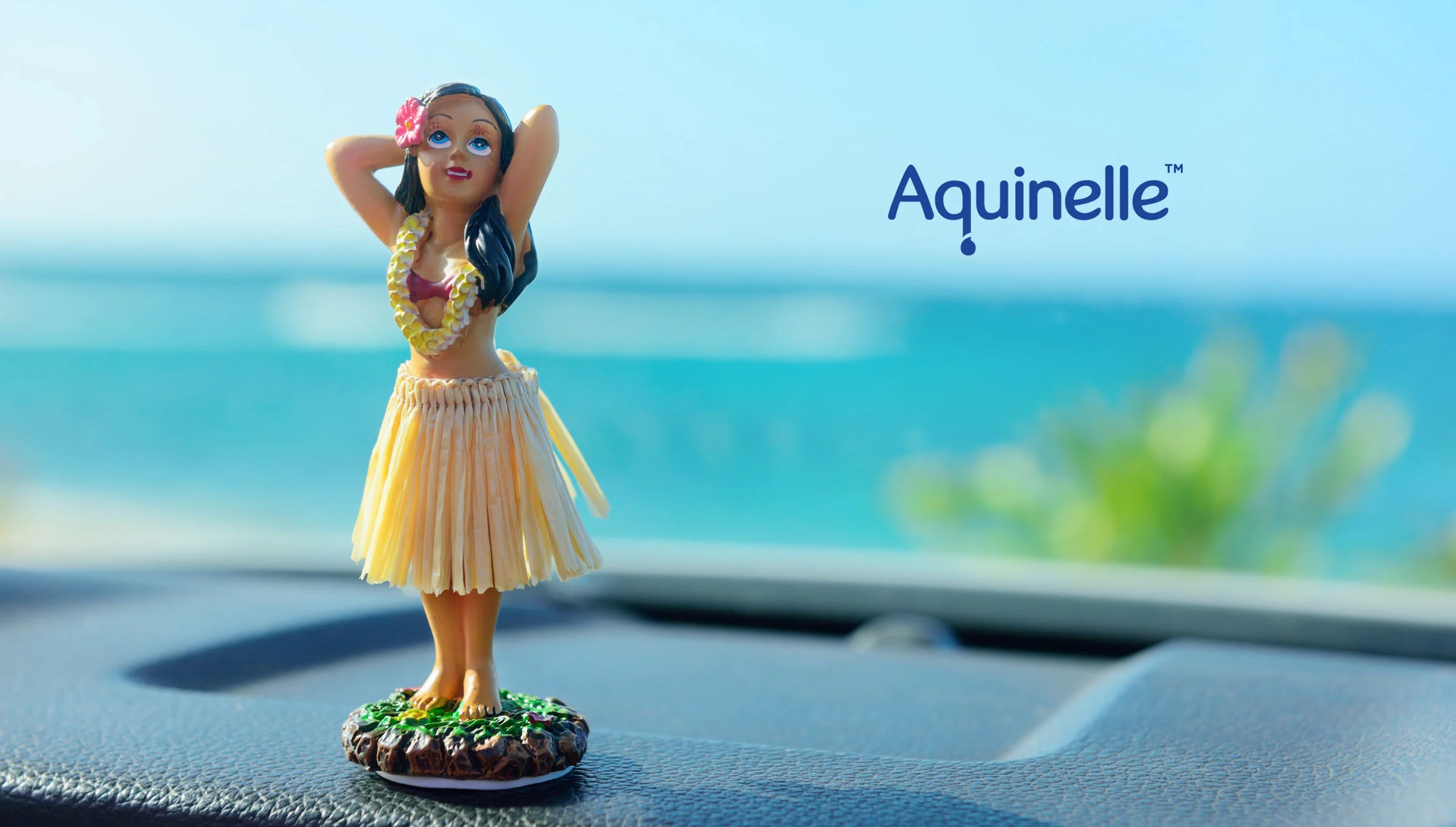grass-creative-branding-design-social-media-digital-advertising-NYC-NJ-aquinelle-hula.jpg