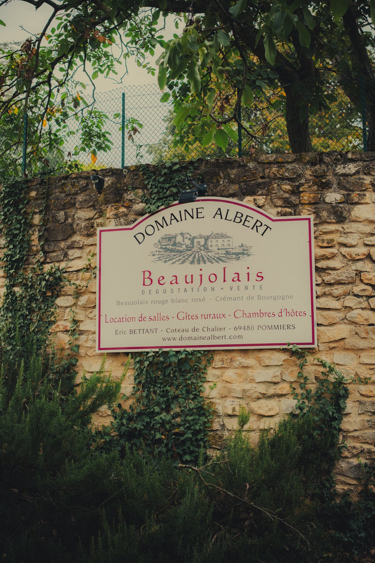 8-AurélieCédric.jpg