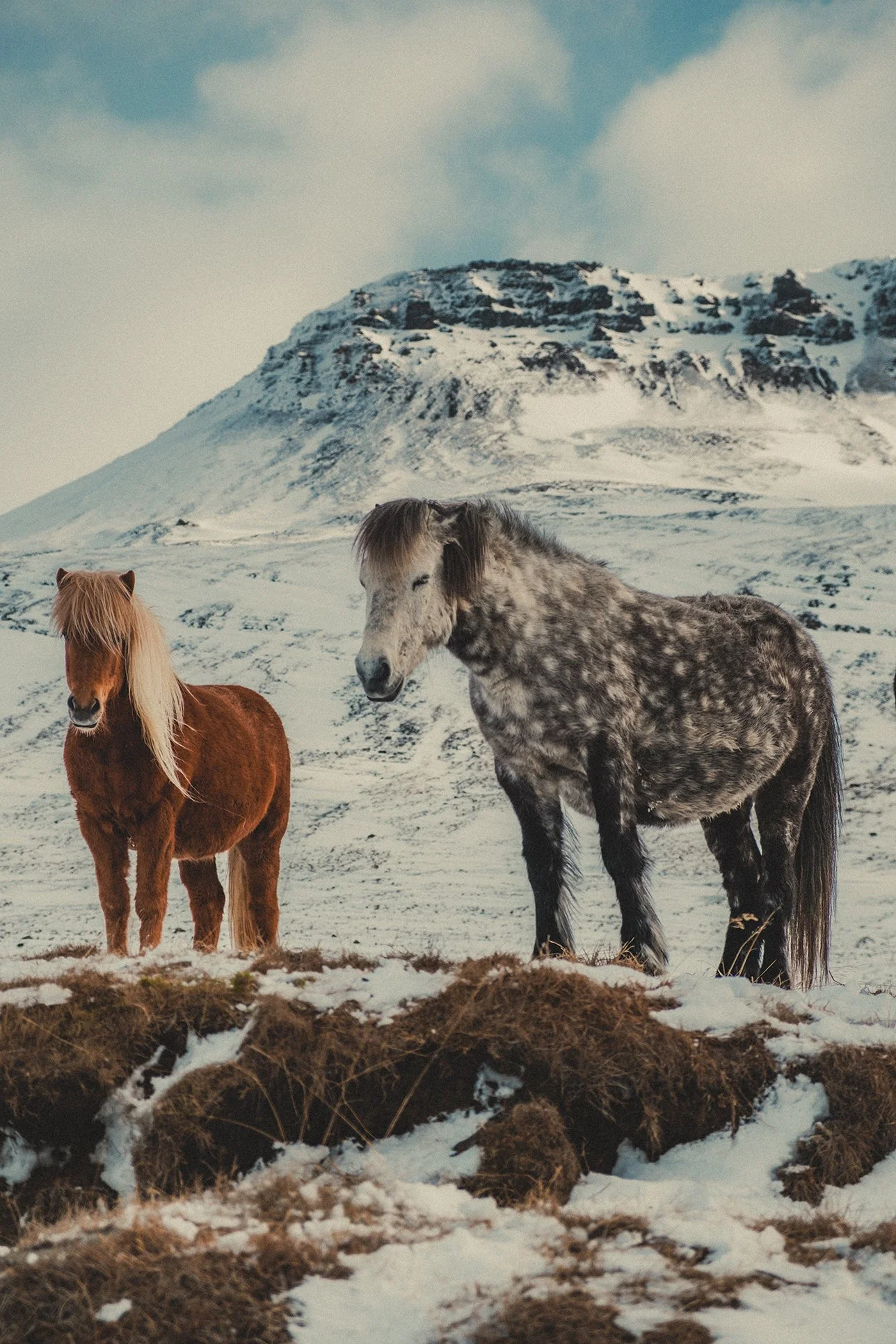 Iceland elopement photographer and videographer