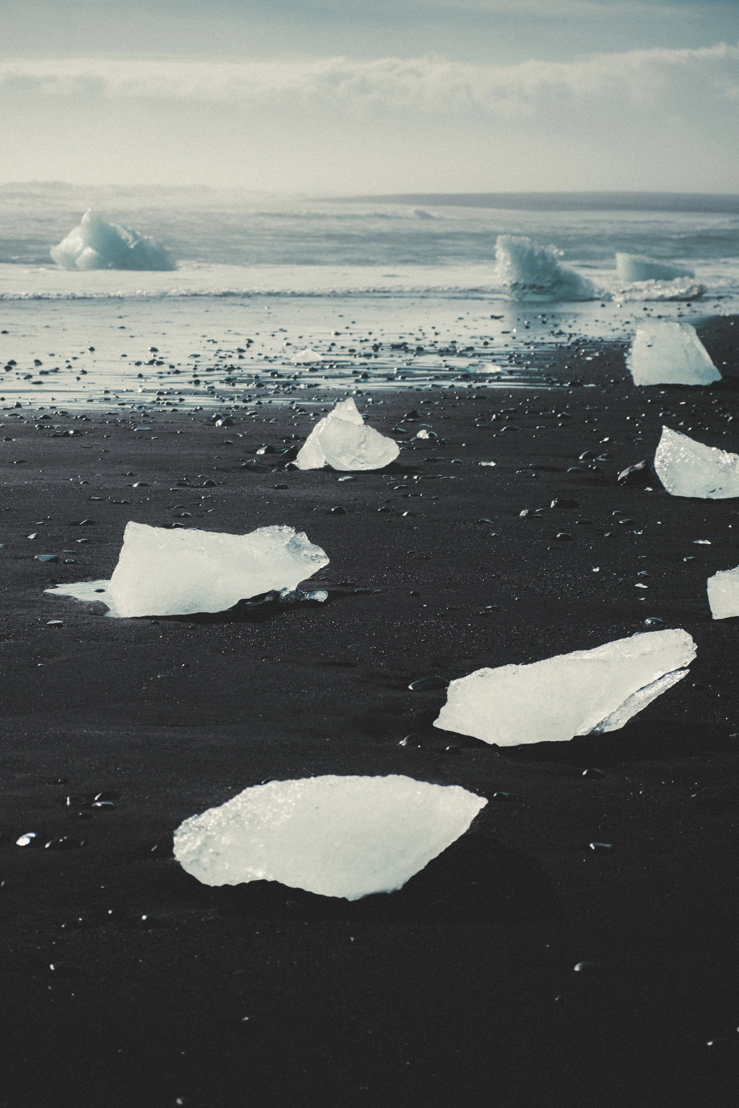 black sand beach iceland elopement in the south coast