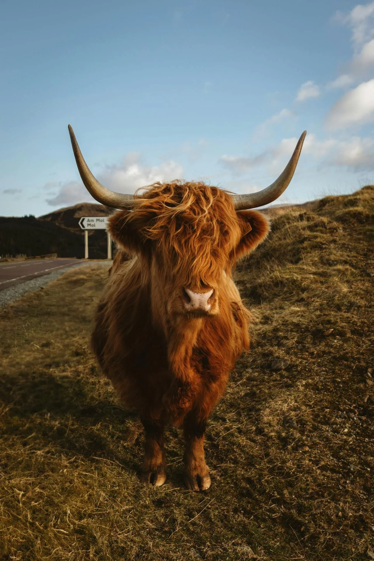 Scotland Highland Elopement