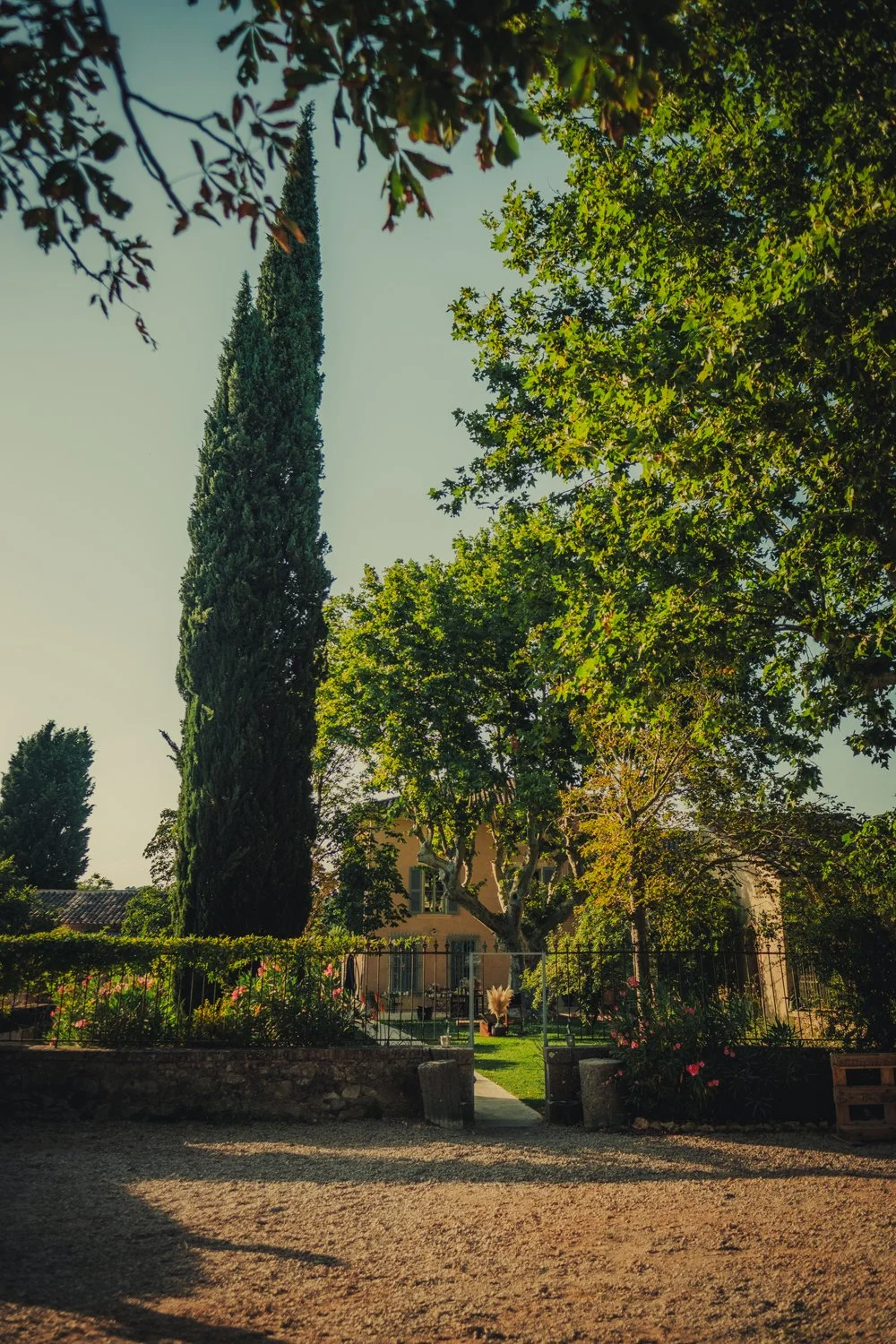 Vue d’ensemble du Domaine Les Mûriers pour un mariage en Provence