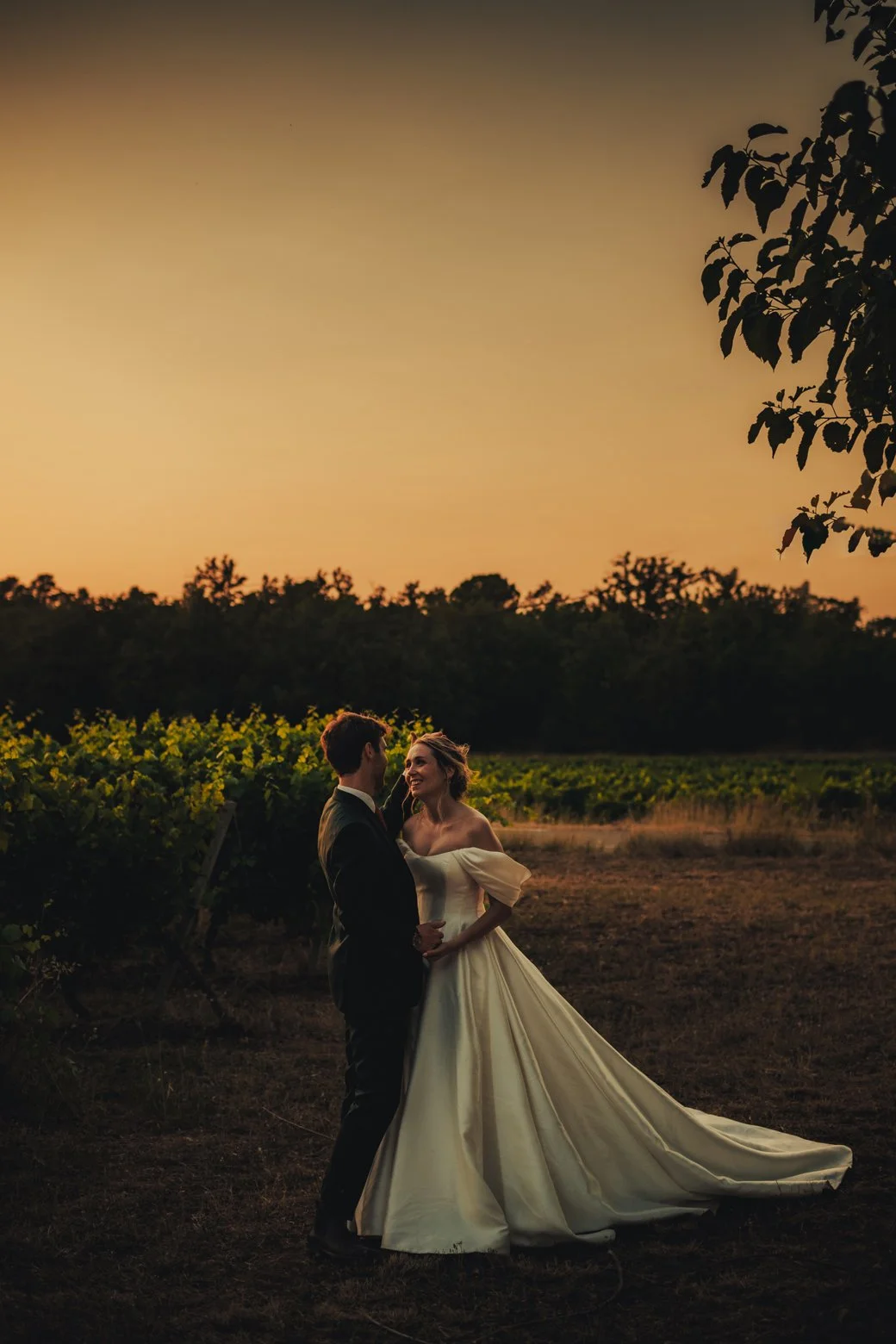 Portrait of bride and groom during golden hour in the vineyard in Provence