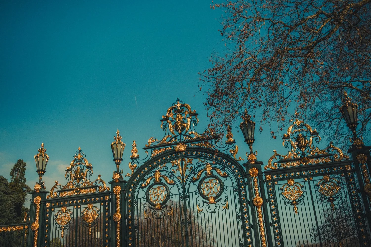 Family photo session at Parc de la Tête d'Or Lyon