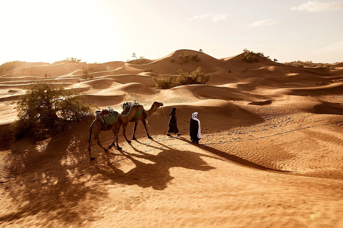 Elopement in Morocco with pricing and packages.