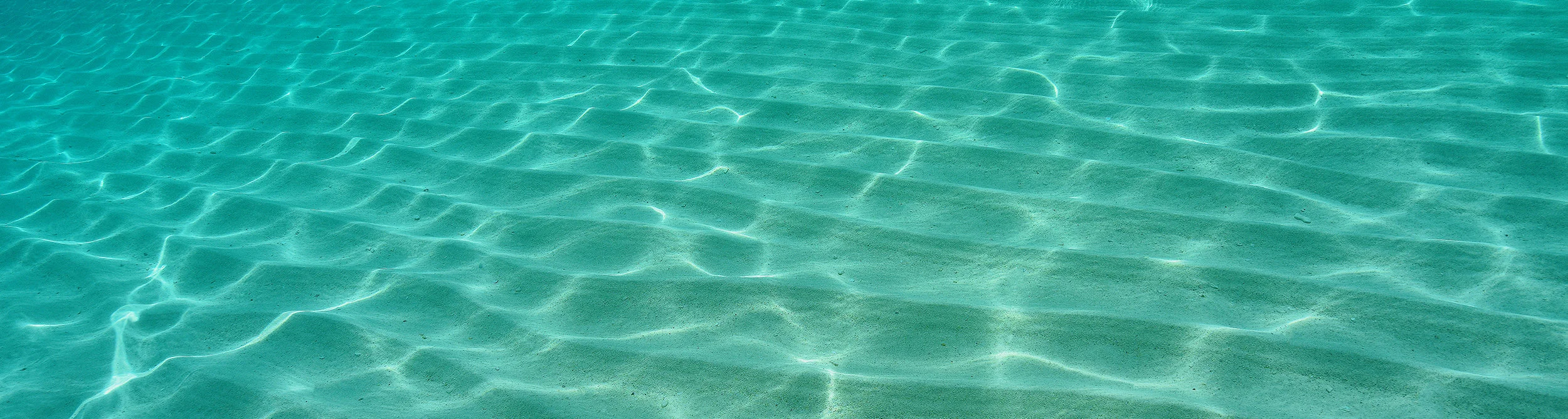 Sea #1 Banner LR.jpg