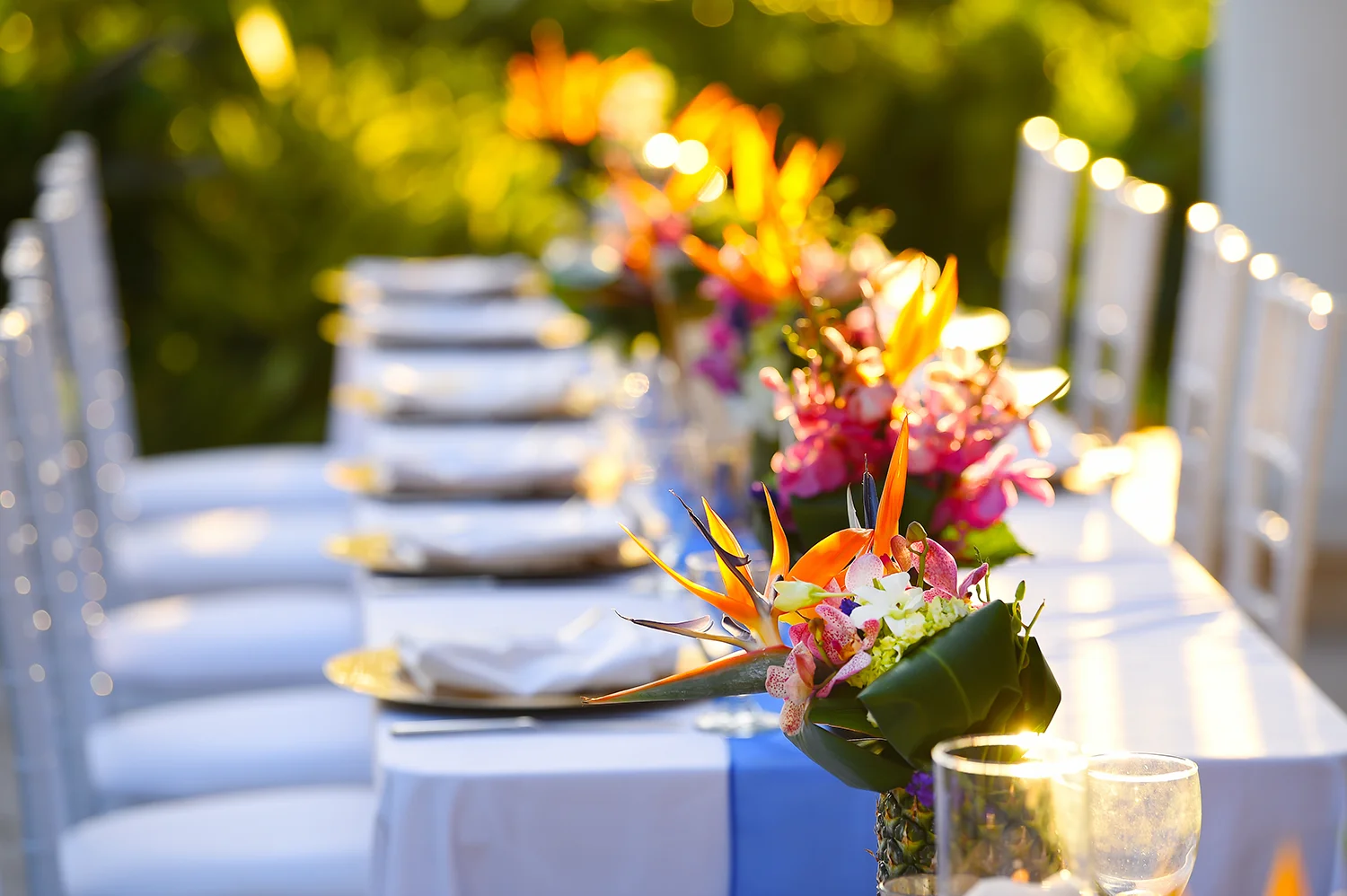 Carlos & Frencesco #3.jpg