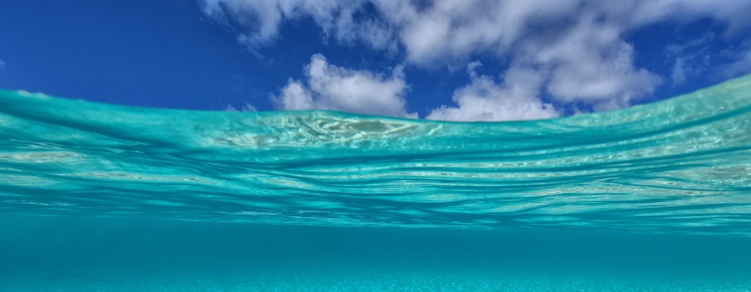 Water Banner SQ #1.jpg