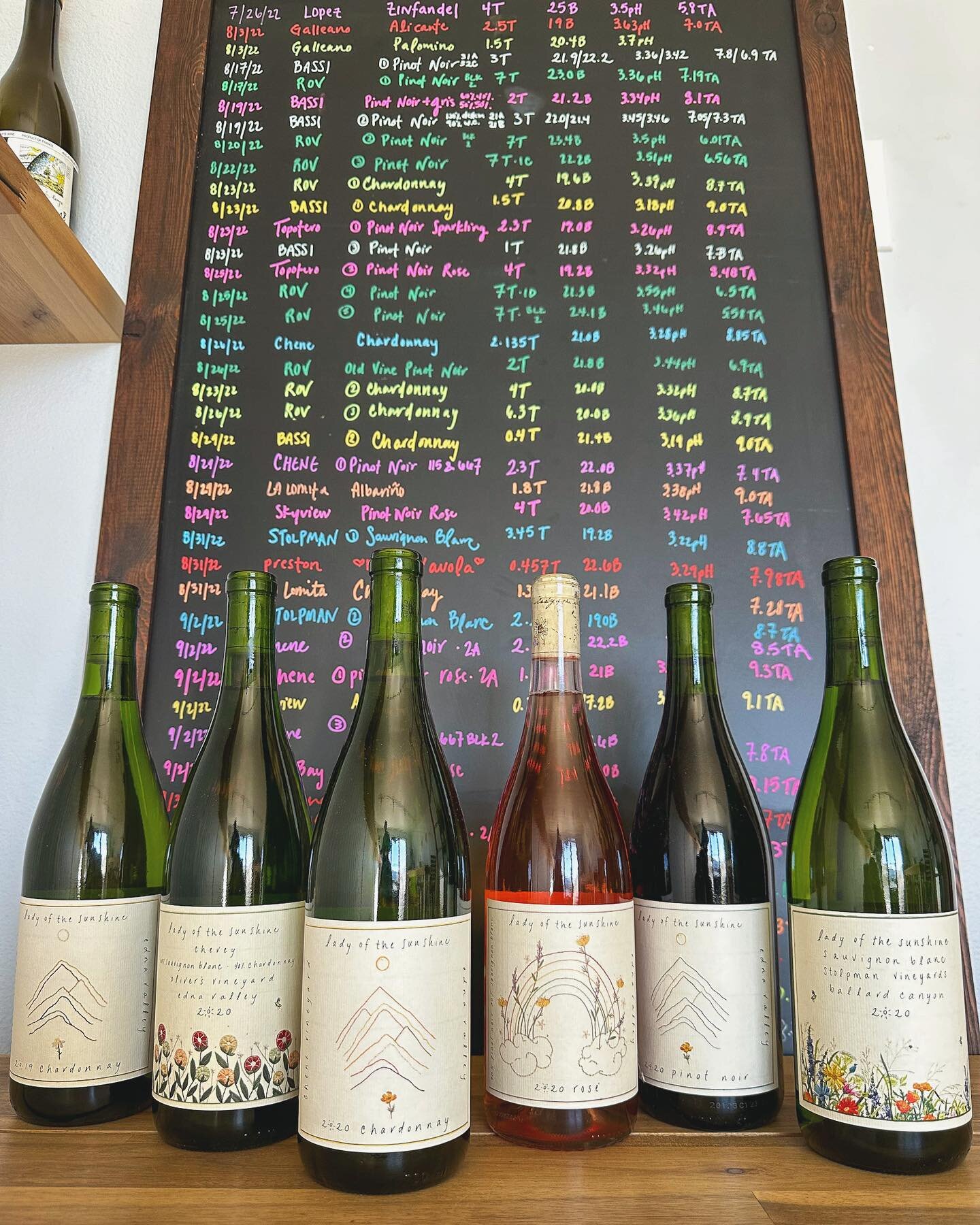 Our green hills &amp; sunny days are making me spring clean my library stash 💚 
my 2021 wines may be all gone but new vintage wines are coming the end of March.  Feels like a good time to share a few past vintages that are now live in the wine shop 