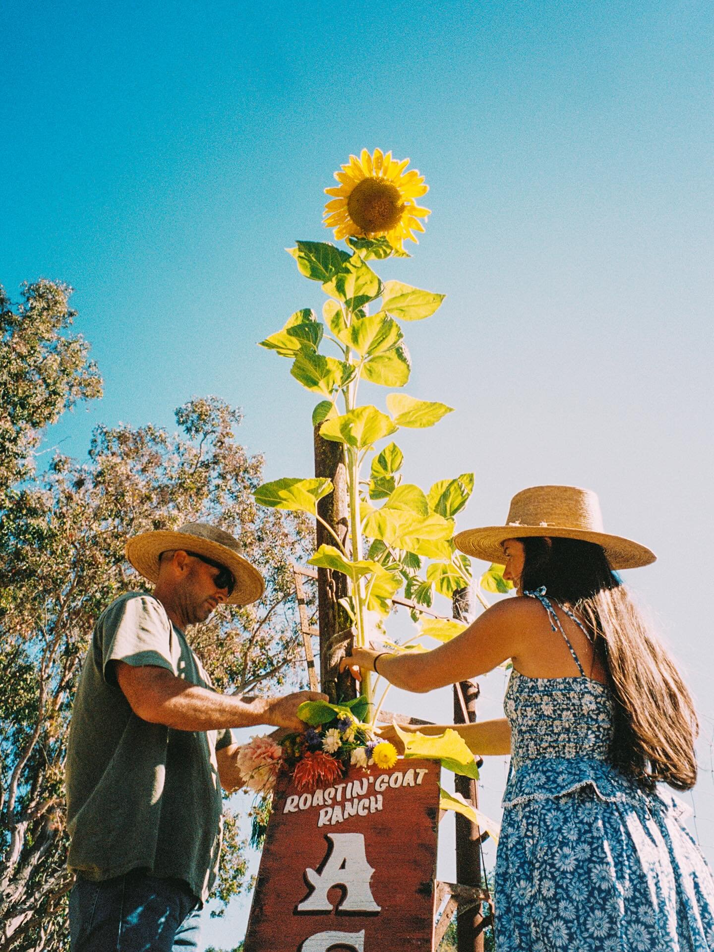 Bassi Harvest Party 2025 🌻🦋

A gathering to celebrate the vintage ahead, the land we steward and our community on the Slo Coast!

Shepard @hiyabassi returned to feed us Asado style, a method he learned cooking in Argentina. Returning an animal to t