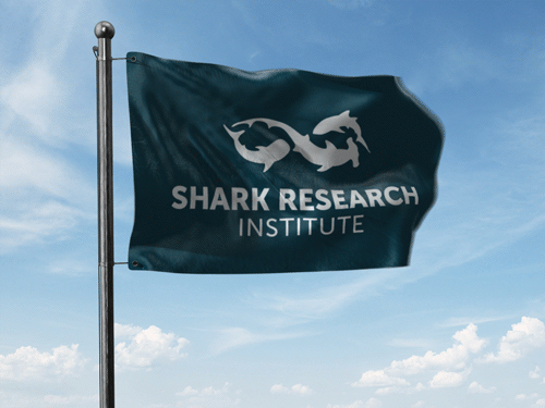Animated-flag-mockup.gif