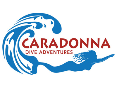 caradonna-dive-sharks.jpg