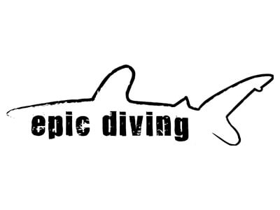 epic-diving-shark-research-institute.jpg