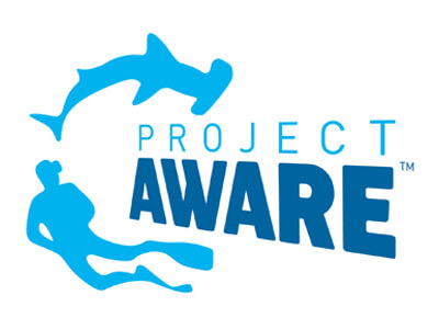 project-aware-shark-research-institute.jpg