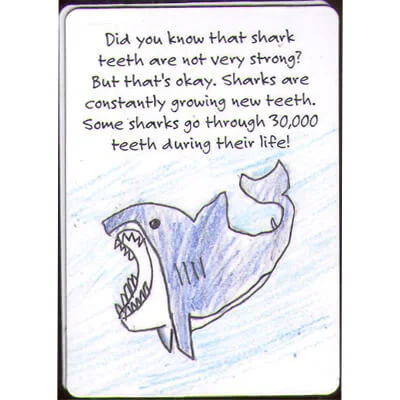 kids-proecting-sharks.jpg