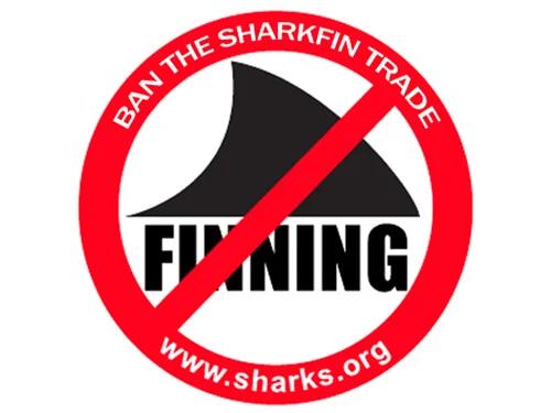 sri-ban-shark-finning.jpg