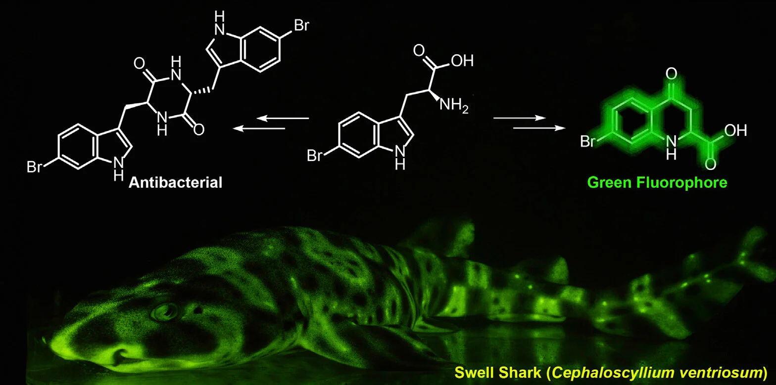 (Image from Park, et al.)
