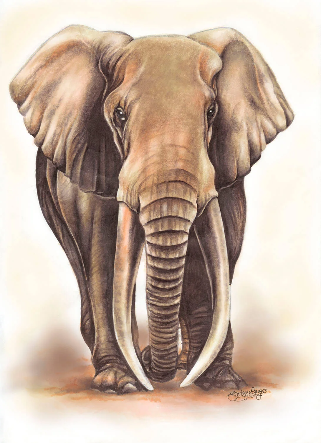 Elephant1.jpg